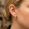 Moissanite Pavé Twisted Gold Rope Hoop Earrings | Aria